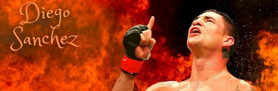 From Pride FC King to $3 Million: Takanori Gomi's Career Earnings Explored